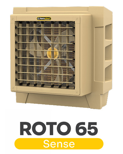 Roto 65 Sense